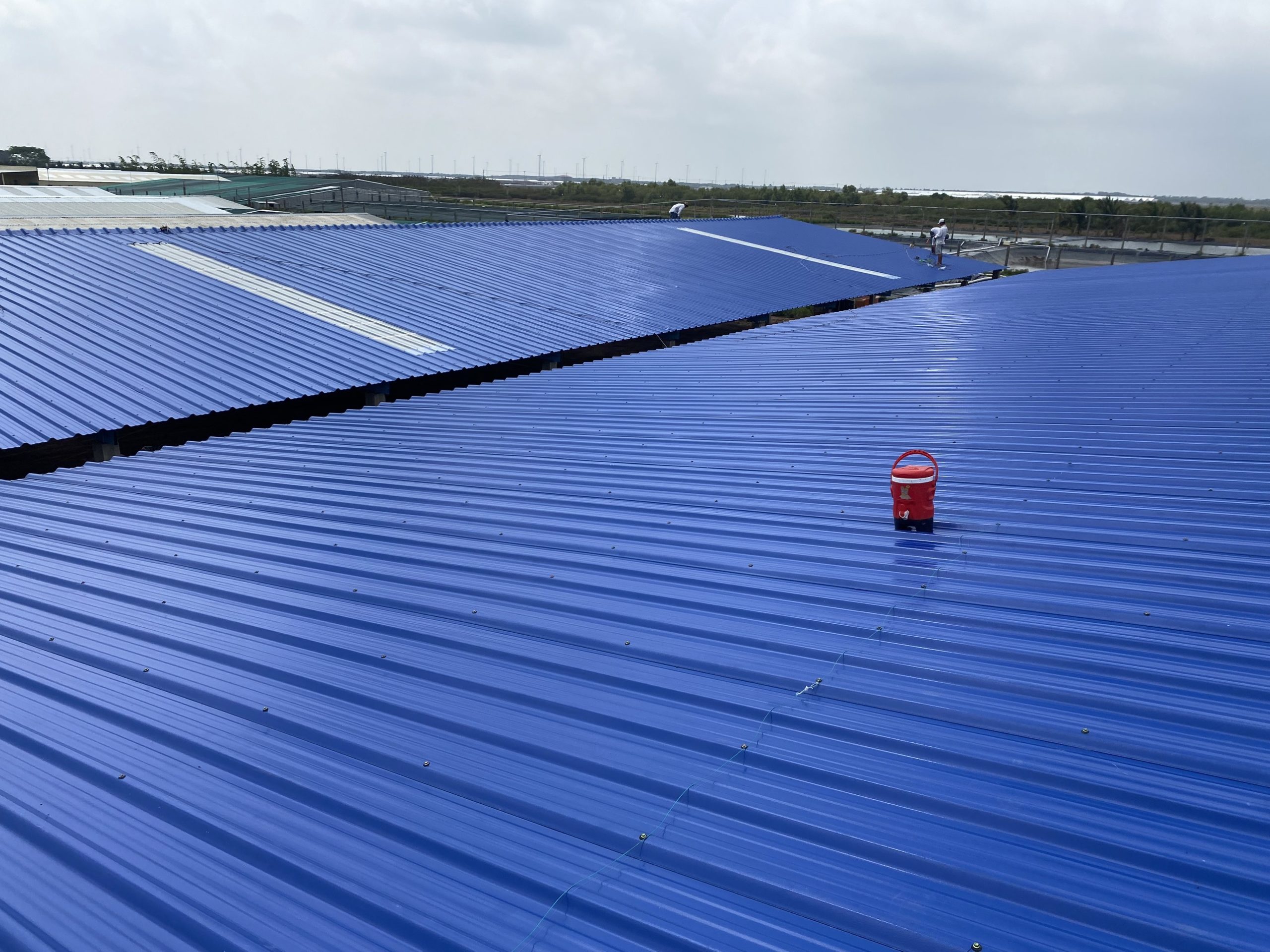 Trang trại tôm giống bạc liêu 10.000m