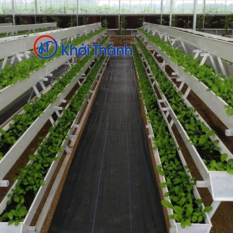 Máng xối PVC: Giải pháp tưới tiêu thông minh, tiết kiệm nước cho nông dân