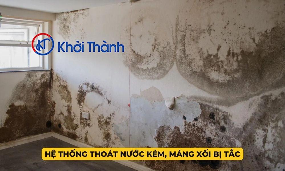 Thấm Nước Lâu Ngày Gây Mốc Tường, Bong Tróc Sơn Nhà