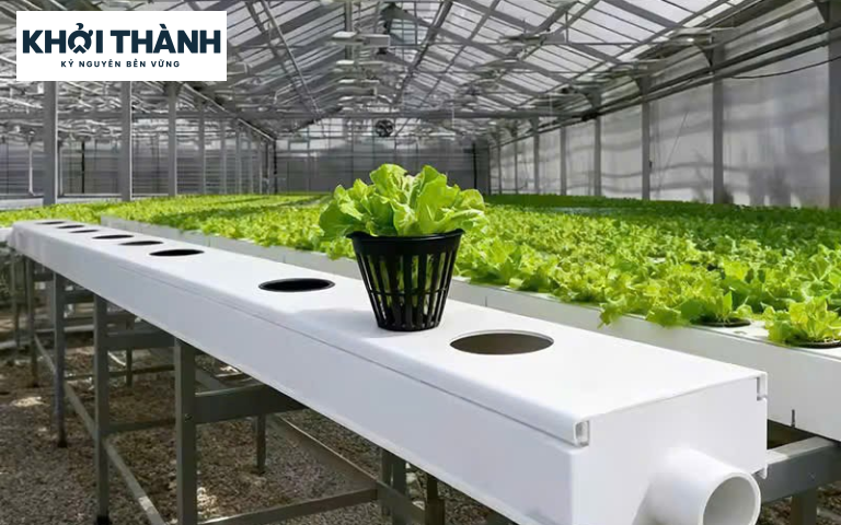 Máng Xối Nhựa Cần Thơ: Giải Pháp Chống Thấm Dột Mùa Mưa, Bảo Vệ Ngôi Nhà Bền Vững