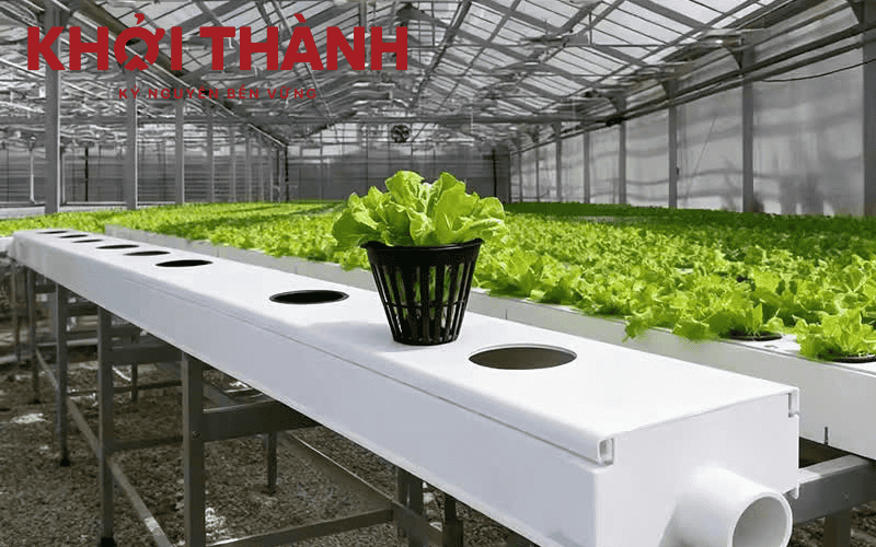 Máng xối nhựa Cần Thơ