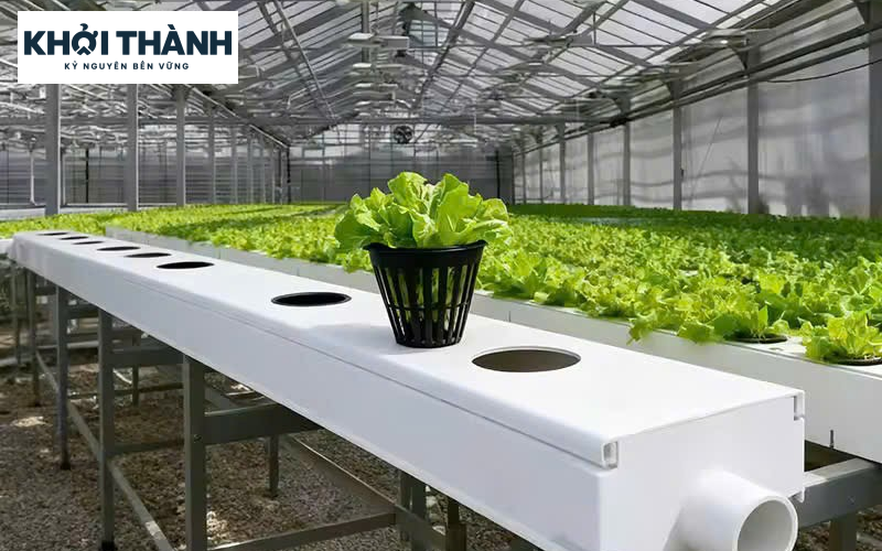 Máng xối nhựa Cần Thơ