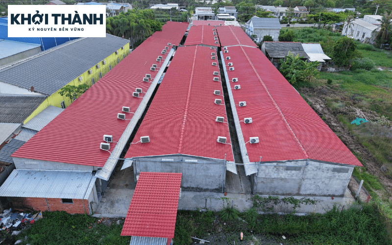 Tôn nhựa PVC Trà Vinh