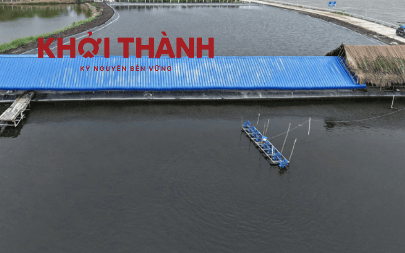 Nhà xưởng lợp tôn nhựa Khởi Thành tại Kiên Giang