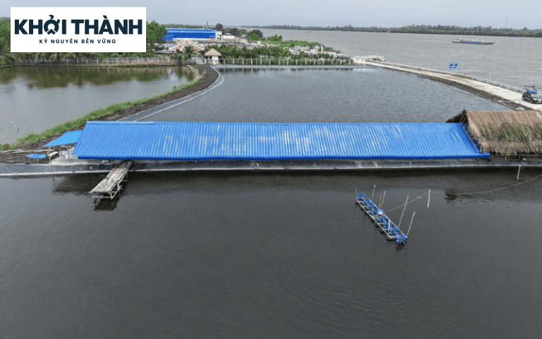 Giá tôn nhựa tại khu vực Kiên Giang: bảng giá và cách nhận báo giá