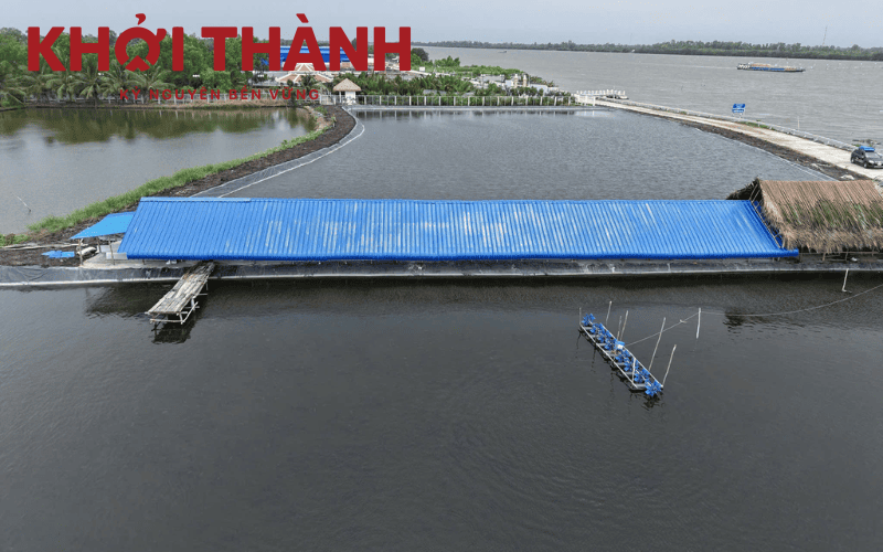 Nhà xưởng lợp tôn nhựa tại Kiên Giang