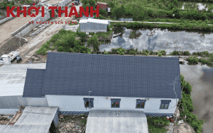 Tôn nhựa chống an mòn lợp nhà ở Cà Mau